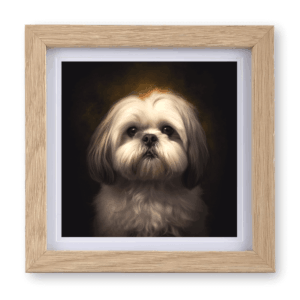 Lhasa Apso