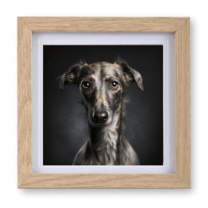 Lurcher