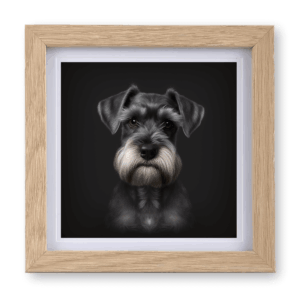 Schnauzer