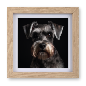 Schnauzer v3