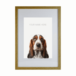 Basset Hound