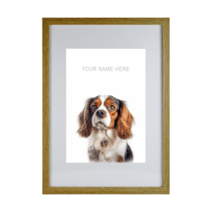 Cavalier Spaniel v4