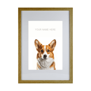 Corgi