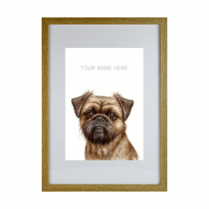 Brussels Griffon