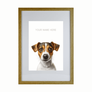 Jack Russell Terrier