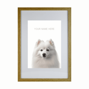 Japanese Spitz