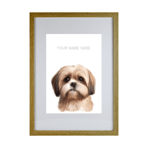 Lhasa Apso