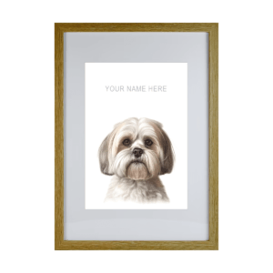 Lhasa Apso v2