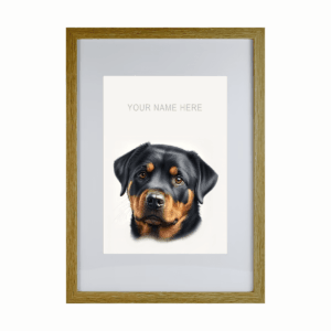 Rottweiler