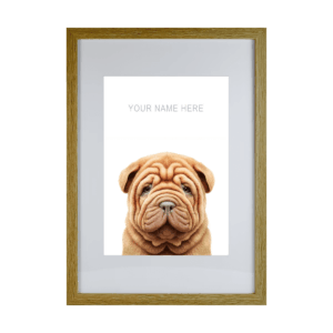 Shar Pei