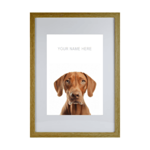 Vizsla