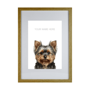 Yorkshire Terrier