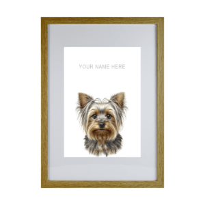 Yorkshire Terrier v2